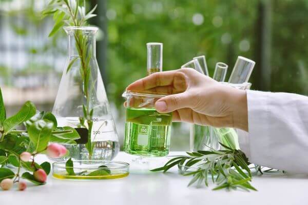 B.Ed Natural Science